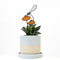 Light gray w/Orange