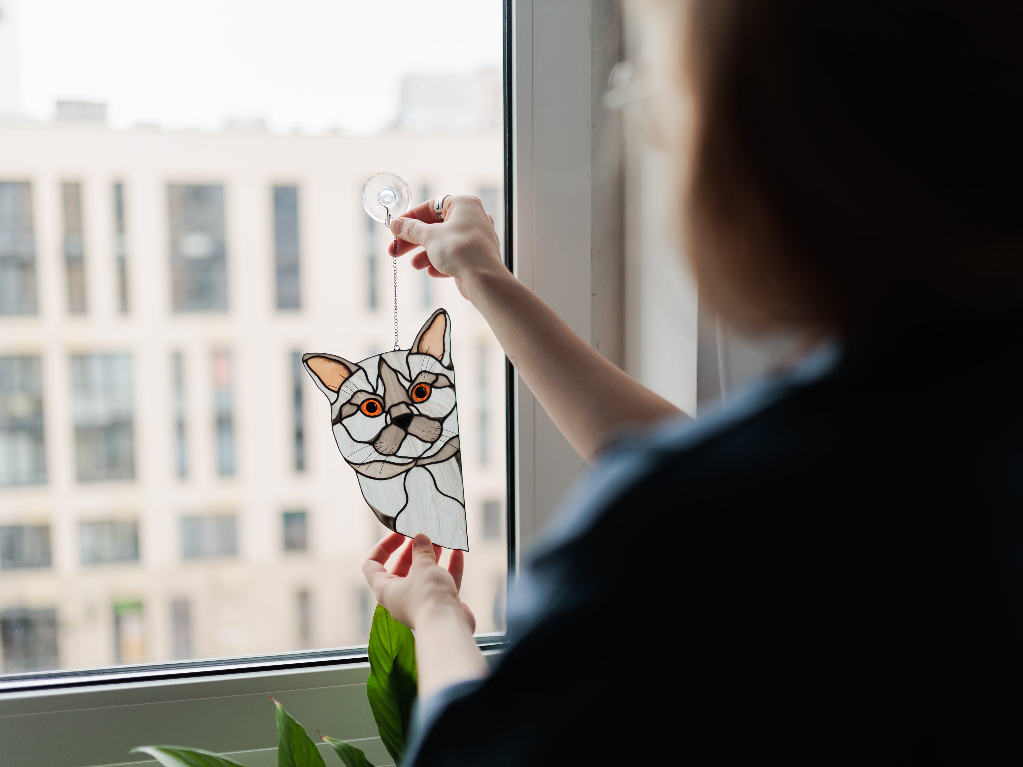 British Gray Cat Suncatchera