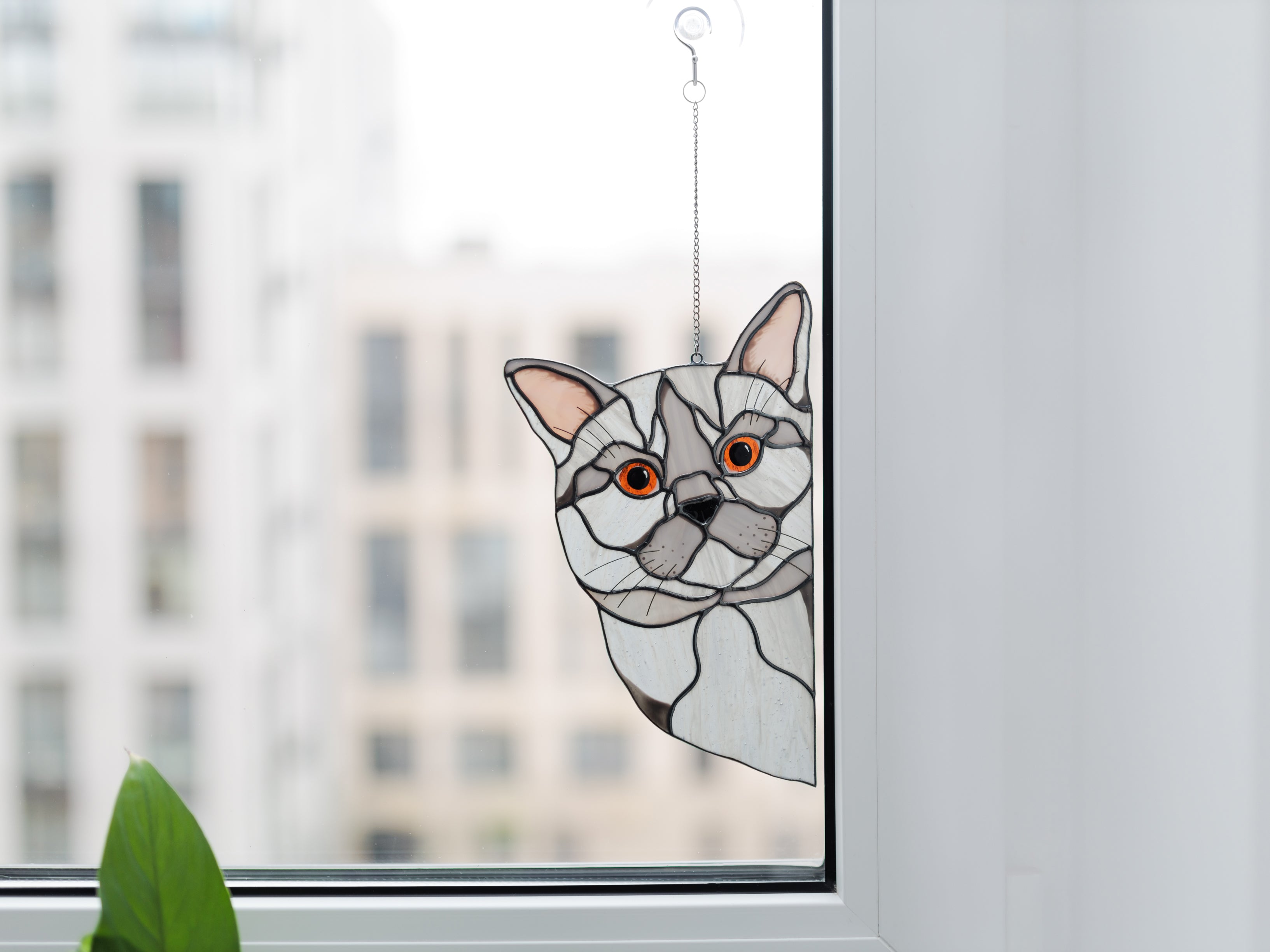 British Gray Cat Suncatchera