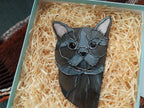 British Gray Cat Suncatchera