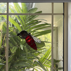 Stained Glass Mosquito Suncatcher