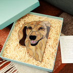 Longhair Dachshund Dog Suncatcher