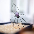 Spider Web Suncatcher