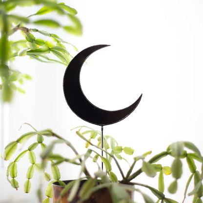 Black Moon Plant Stakes