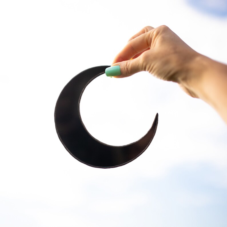 Black Moon Plant Stakes