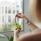 Witches Broom Suncatcher