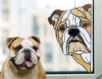 English Bulldog Suncatcher