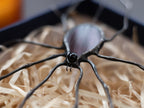 Spider Suncatcher Garden decor