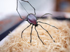 Stained Glass Window Hangings Spider decor