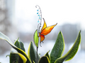 Butterfly Suncatcher Plant Stake